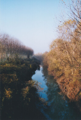 Campo