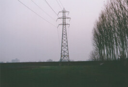 Campo
