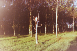 Campo