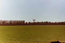 Campo