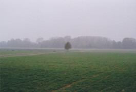 Campo