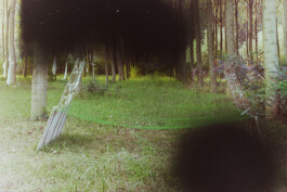 Campo
