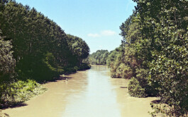 Campo