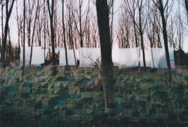 Campo