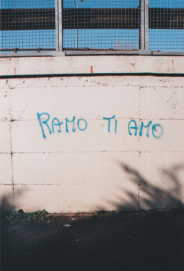 Campo