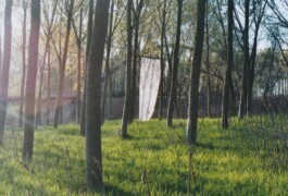 Campo