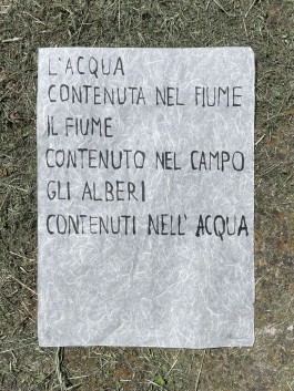 Campo