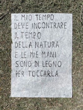 Campo