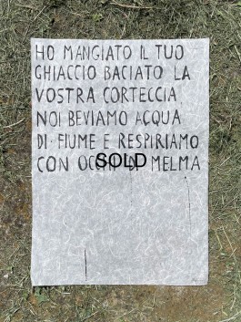 Campo