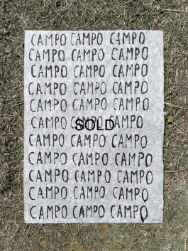 Campo