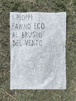 Campo