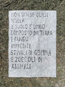 Campo